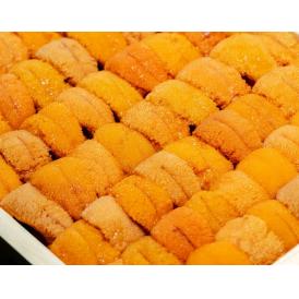 カード又は代引き限定　お値打ち【浜中小川のうに】『エゾバフンウニ』 ロシア産 弁当箱/並びA品 約250g ※冷蔵 山治　送料無料