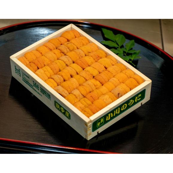 カード又は代引き限定　お値打ち【浜中小川のうに】『エゾバフンウニ』 ロシア産 弁当箱/並びA品 約250g ※冷蔵 山治　送料無料03