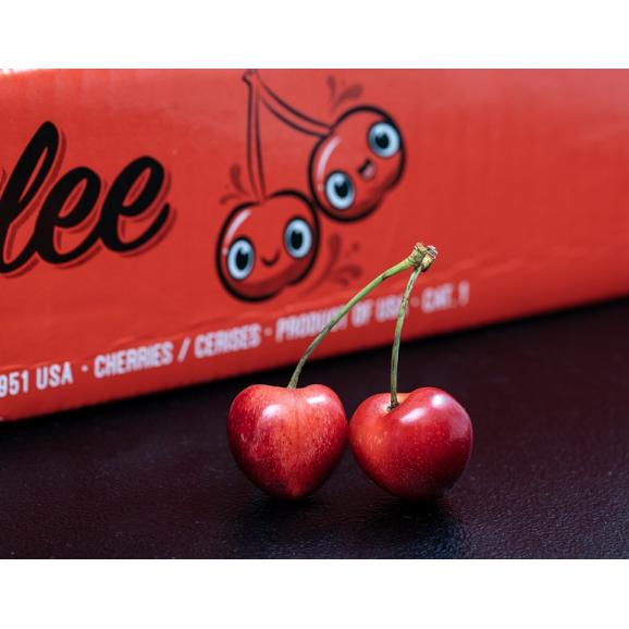 無燻蒸　特大 レーニア チェリー アメリカ産 約1kg 簡易箱 ※冷蔵 送料無料 レイニア　レーニア03