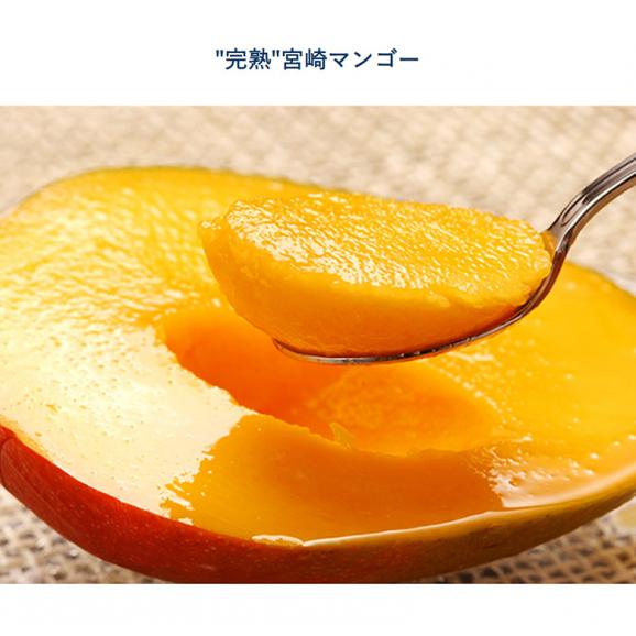 超大玉3L　みやざき完熟マンゴー　宮崎県産 3L 1玉 450～509g 簡易箱 ※常温　【20玉まで送料1口】05