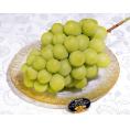 大房　晴王 岡山県産シャインマスカット 1房 約600g 化粧箱 ※冷蔵　送料無料