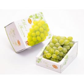 船穂ぶどう部会 大房『マスカット・オブ・アレキサンドリア』岡山県産 赤秀品 1房 約600g 化粧箱 ※冷蔵　送料無料