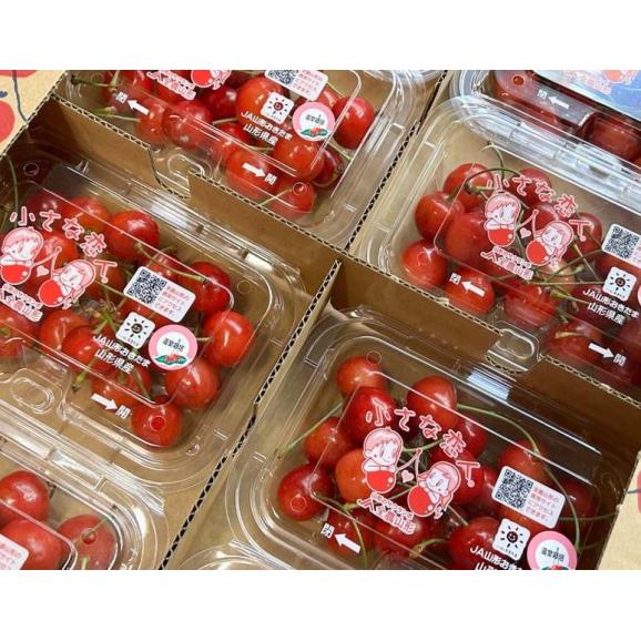 【カード・又は代引限定】大粒さくらんぼ （佐藤錦または紅秀峰） 山形県産 マル秀〜特秀 L〜2Lサイズ 8パック 計約1440g （1パック：約180g）産地箱 ※冷蔵　さくらんぼ 送料無料03