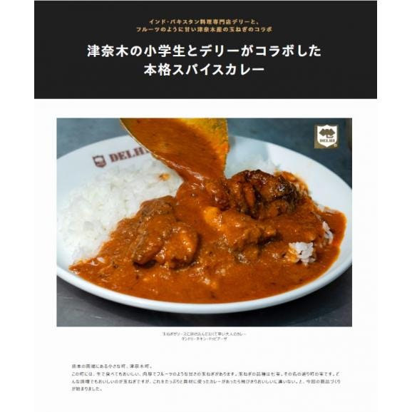 【賞味期限間近】　ケララ風ココナッツキーマカレー（甘口）1食160gx10袋　※常温　送料無料02