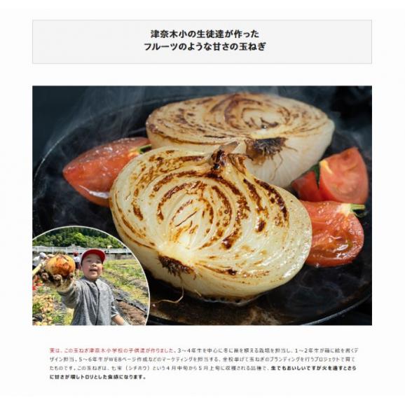 【賞味期限間近】　ケララ風ココナッツキーマカレー（甘口）1食160gx10袋　※常温　送料無料04