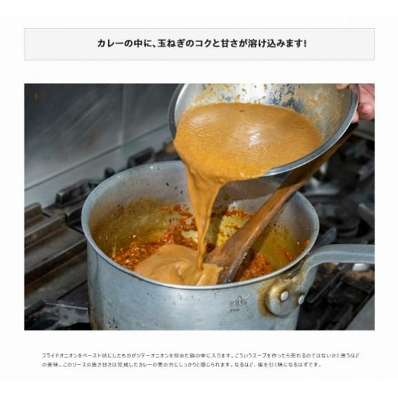 【賞味期限間近】　ケララ風ココナッツキーマカレー（甘口）1食160gx10袋　※常温　送料無料05