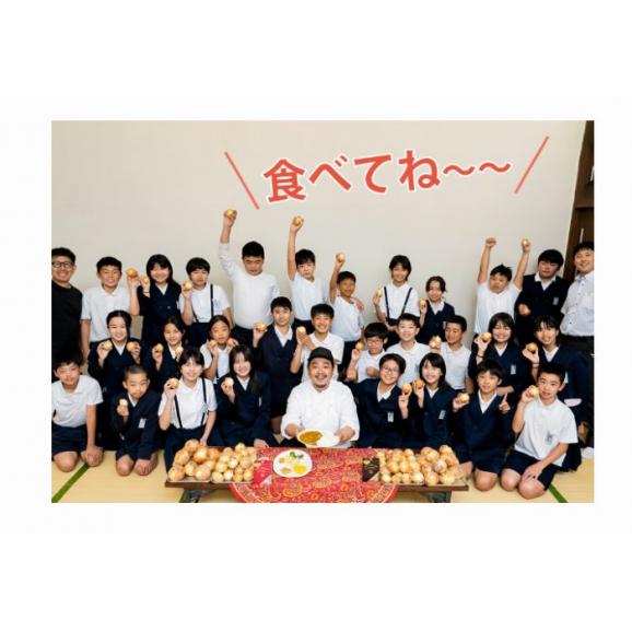 【賞味期限間近】　ケララ風ココナッツキーマカレー（甘口）1食160gx10袋　※常温　送料無料06