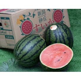 大玉　Niigataルビームーン　新潟県産 6～7kg（2～3玉）産地箱 風袋込 ※冷蔵 送料無料