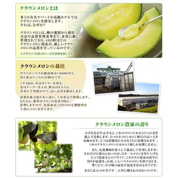 ご自宅用　クラウンメロン　静岡県産 雪またはA品 計7kg（4～6玉）産地箱 ※常温　送料無料04