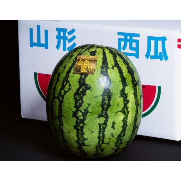 金色羅皇 （黄肉すいか） 山形県産 Lサイズ 1玉 約6kg 簡易箱 ※冷蔵　送料無料02