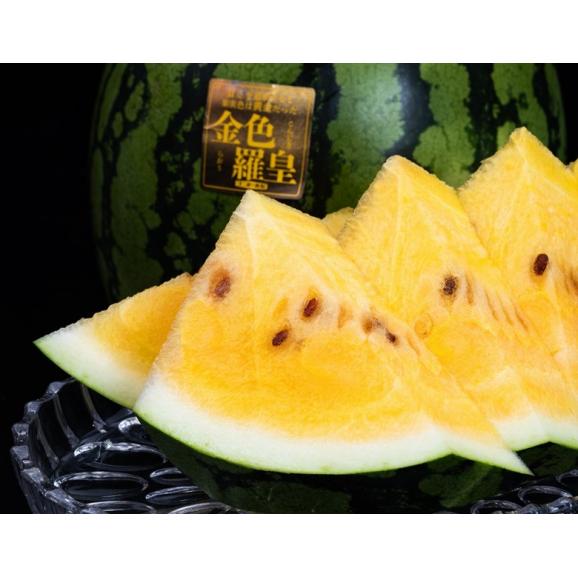 金色羅皇 （黄肉すいか） 山形県産 Lサイズ 1玉 約6kg 簡易箱 ※冷蔵　送料無料03