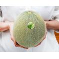 デリシィメロン （青肉） 青森県五所川原産 秀品 計約8kg（5-6玉）産地箱 ※常温　送料無料