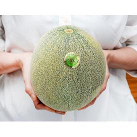 デリシィメロン （青肉） 青森県五所川原産 秀品 計約8kg（5-6玉）産地箱 ※常温　送料無料