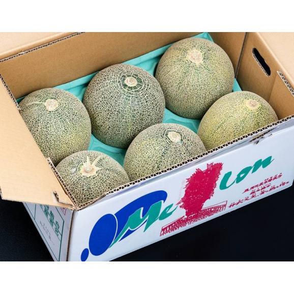 デリシィメロン （青肉） 青森県五所川原産 秀品 計約8kg（5-6玉）産地箱 ※常温　送料無料03