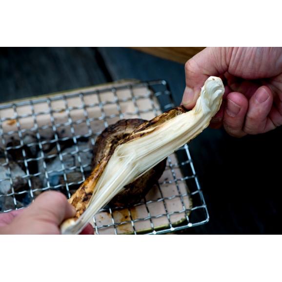 松茸　ブータン産 無選別 約300g（目安：3～12本）すだち付 簡易箱 ※冷蔵　送料無料 まつたけ03