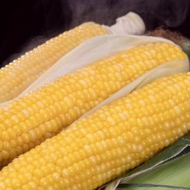 SORAファームのとうもろこし（イエロー）長野県産 10本入 約3.5kg 産地箱 ※冷蔵　送料無料