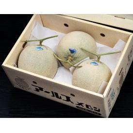 大玉 マスクメロン（アールスメロン）JA常総ひかり 茨城県産 3〜5L 計約8kg（3〜5玉）産地箱 風袋込 ※常温　送料無料