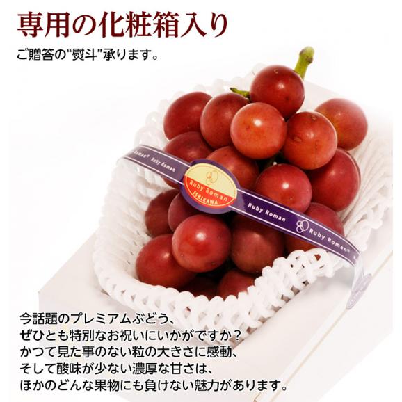 ルビーロマン 石川県産 ぶどう 秀品 1房 500～600g 化粧箱 ※冷蔵　送料無料05