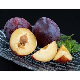 すもも 　マーキュリー　約500g×4P （1Pの目安：4～5玉入）　山形県産　さがえ西村山すもも部会　※冷蔵 送料無料