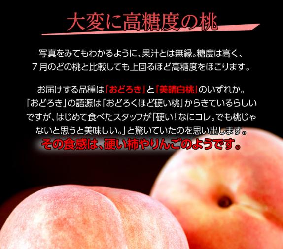 大玉 かたい桃 山形県産 秀〜特秀 約2.3kg（4〜8玉）簡易箱 ※冷蔵