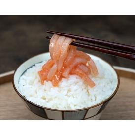 創業430年 小田原・鮑屋 イカ明太（王様の塩辛シリーズ）アオリイカ使用 計500g (100g×5袋) ※冷凍 送料無料