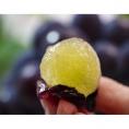 阿新の　ニューピオーネ　岡山県産ぶどう 秀品 2房 計約1.1kg 簡易箱 ※冷蔵　送料無料