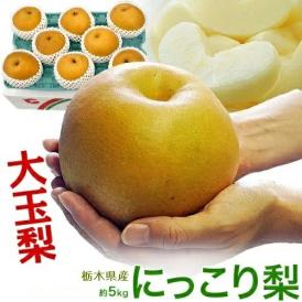  大玉　にっこり梨　栃木県産 優〜秀 約5kg（6〜10玉）簡易箱 ※冷蔵　送料無料