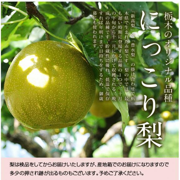  大玉　にっこり梨　栃木県産 優〜秀 約5kg（6〜10玉）簡易箱 ※冷蔵　送料無料03