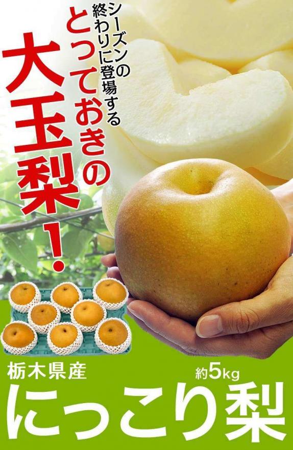 大玉 にっこり梨 栃木県産 優〜秀 約5kg（6〜10玉）簡易箱 ※冷蔵 送料