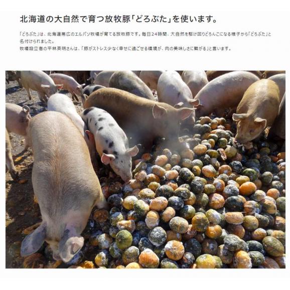 どろぶたの豚丼用味つけ肉　北海道 十勝幕別町産 エルパソ牧場 1袋250g×4 計1kg ※冷凍03