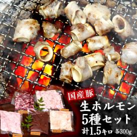 豚の生ホルモン5種セット （レバー、大腸、タン下、ハツモト、卵管） 計1.5kg（各300g×1パック）国産 ※冷凍