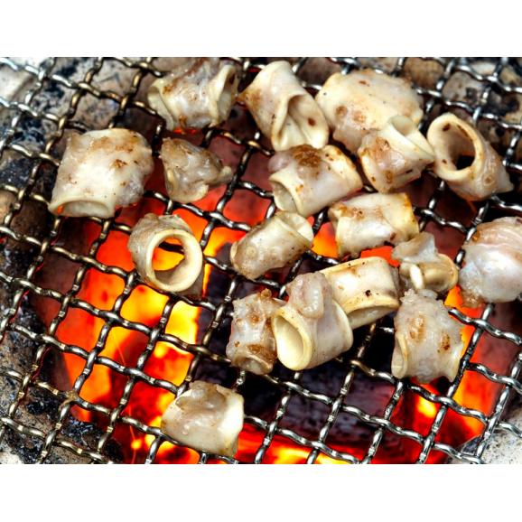 豚の生ホルモン5種セット （レバー、大腸、タン下、ハツモト、卵管） 計1.5kg（各300g×1パック）国産 ※冷凍03