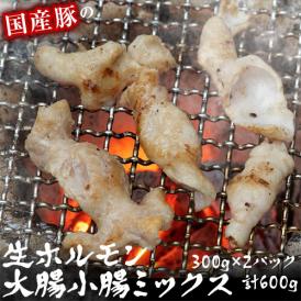 豚の生ホルモン 大腸小腸ミックス　計600g（300g×2パック）国産 ※冷凍
