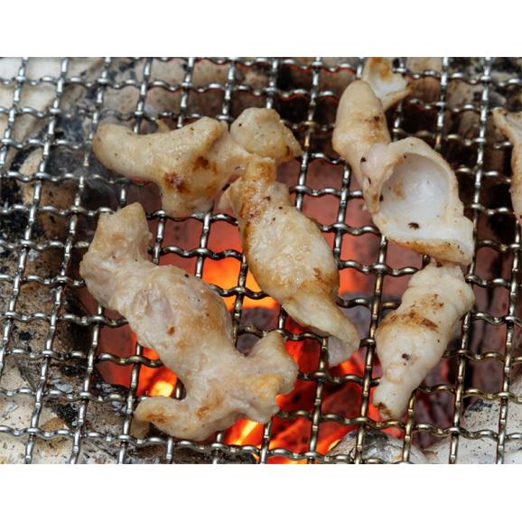 豚の生ホルモン 大腸小腸ミックス　計600g（300g×2パック）国産 ※冷凍02