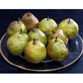 ラ・フランス 山形県産 西洋梨 秀品 約3kg （7〜12玉） 産地箱 ※常温 送料無料