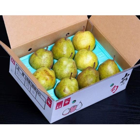 ラ・フランス 山形県産 西洋梨 秀品 約3kg （7〜12玉） 産地箱 ※常温 送料無料03