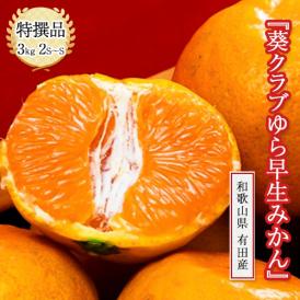 葵クラブ ゆら早生みかん 特選品 2S～S 和歌山県 有田産 風袋込 約3kg 産地箱 ※常温　送料無料