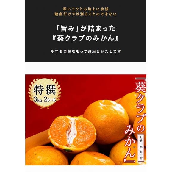 葵クラブ ゆら早生みかん 特選品 2S～S 和歌山県 有田産 風袋込 約3kg 産地箱 ※常温　送料無料02