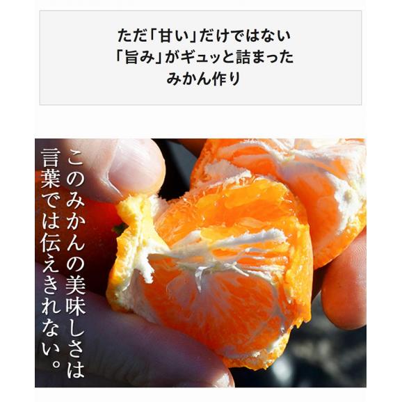 葵クラブ ゆら早生みかん 特選品 2S～S 和歌山県 有田産 風袋込 約3kg 産地箱 ※常温　送料無料04