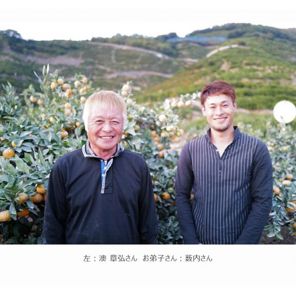 葵クラブ ゆら早生みかん 特選品 2S～S 和歌山県 有田産 風袋込 約3kg 産地箱 ※常温　送料無料06