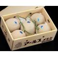 JA常総ひかり マスクメロン（アールスメロン） 茨城県産 L〜3L 計約8kg（5〜6玉）産地箱 風袋込 ※常温 送料無料