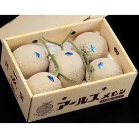 JA常総ひかり マスクメロン（アールスメロン） 茨城県産 L〜3L 計約8kg（5〜6玉）産地箱 風袋込 ※常温