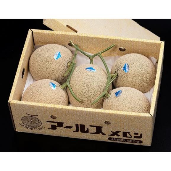 JA常総ひかり マスクメロン（アールスメロン） 茨城県産 L〜3L 計約8kg（5〜6玉）産地箱 風袋込 ※常温 送料無料02