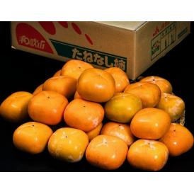 大玉　刀根柿 （種無し） 和歌山県産 秀品 3～4L 約7.5kg（24～28玉）産地箱 風袋込 ※常温　送料無料