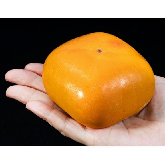大玉　刀根柿 （種無し） 和歌山県産 秀品 3～4L 約7.5kg（24～28玉）産地箱 風袋込 ※常温　送料無料03