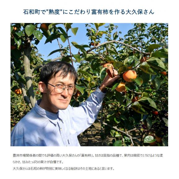 【ご自宅用】大久保さんの『富有柿』 山梨県石和町産 無印 M～Lサイズ 約2.8kg （12～14玉入） ※常温　送料無料03