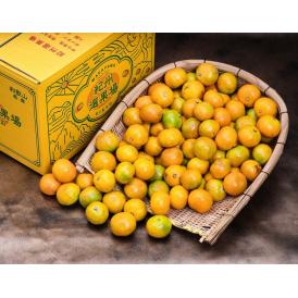 超小玉 ゆら早生みかん 和歌山県産 3Sサイズ 約5kg 簡易箱 ※常温 送料無料