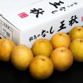 大玉 王秋梨 福島または栃木県産 秀〜特秀 約5kg（7〜10玉）産地箱 風袋込 ※冷蔵　送料無料