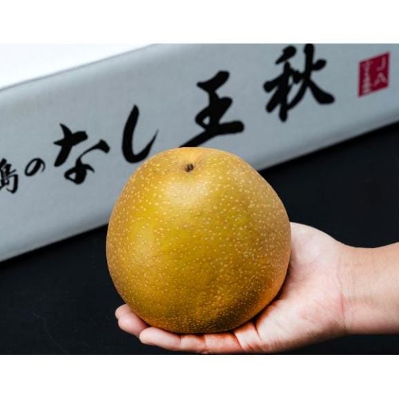 大玉 王秋梨 福島または栃木県産 秀〜特秀 約5kg(7〜10玉)産地箱 風袋込 ※冷蔵 送料無料03