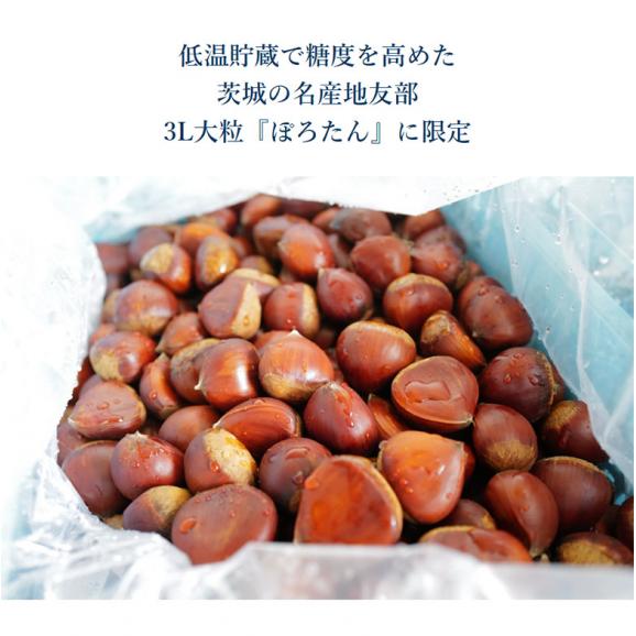 【カード・代引限定】栗　低温熟成 笠間（友部）の特大ぽろたん栗 茨城県産 3〜4Lサイズ 約2kg 簡易箱 ※冷蔵 基本は3Lサイズで出荷 送料無料06
